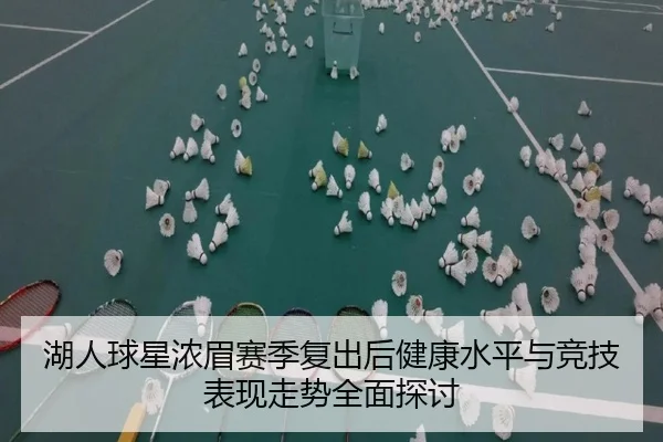 湖人球星浓眉赛季复出后健康水平与竞技表现走势全面探讨